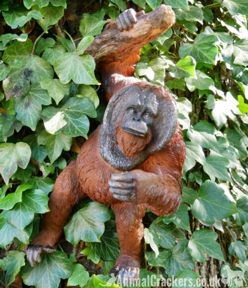 ORANGUTAN hanging from branch garden ornament decoration Monkey Ape lover gift