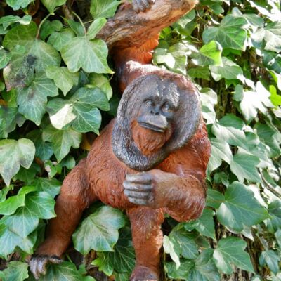 Orang-Utan hängend von Ast Garten Ornament Dekoration Monkey Ape Liebhabergeschenk