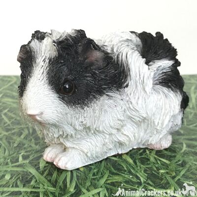 Cute Black & White long haired Guinea Pig ornament