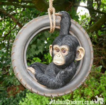 Chimpanzé se balançant sur une vieille balançoire de corde de pneu, décoration d'ornement de jardin d'arbre de nouveauté, cadeau d'amant de singe ou de singe 2