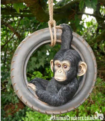 Chimpanzé se balançant sur une vieille balançoire de corde de pneu, décoration d'ornement de jardin d'arbre de nouveauté, cadeau d'amant de singe ou de singe 6