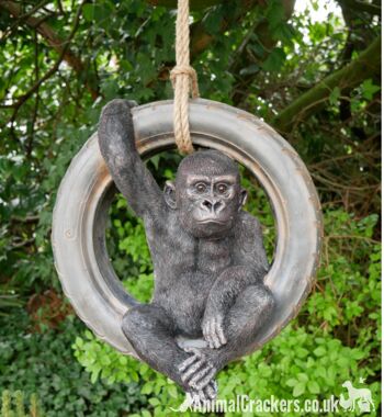 Gorille se balançant sur une vieille balançoire de corde de pneu, décoration d'ornement de jardin d'arbre de nouveauté, cadeau d'amant de singe ou de singe 5
