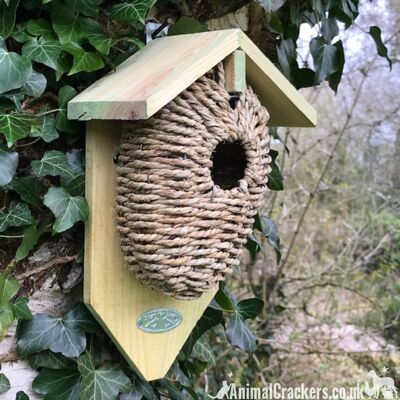Bozzolo nido per uccellini in legno naturale e alghe marine per scricciolo e altri piccoli uccelli da giardino