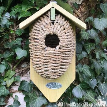 Nid d'oiseau en bois naturel et jonc de mer pour troglodytes et autres petits oiseaux de jardin 2