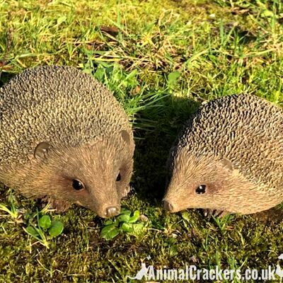 SET OF 2 HEDGEHOGS ornements d'intérieur ou d'extérieur, cadeau d'amant de hérisson