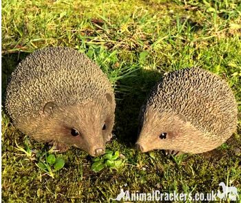 SET OF 2 HEDGEHOGS ornements d'intérieur ou d'extérieur, cadeau d'amant de hérisson 1