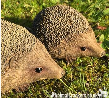 SET OF 2 HEDGEHOGS ornements d'intérieur ou d'extérieur, cadeau d'amant de hérisson 2