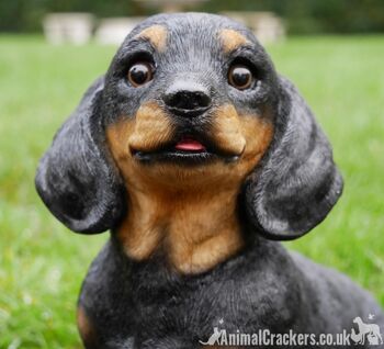 Ornement d'intérieur ou de jardin de teckel assis mignon, grand cadeau d'amant de chien de saucisse 2