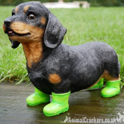 Dachshund in bright green Wellington Boots indoor or garden ornament, great Sausage Dog lover gift