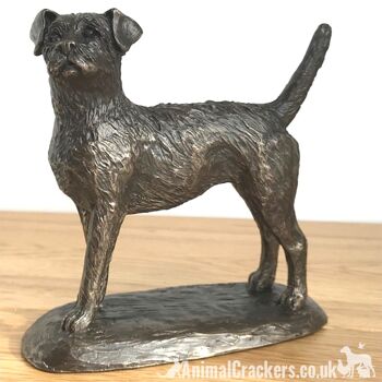 Figurine d'ornement Border Terrier en bronze de qualité par Harriet Glen, cadeau d'amant de chien 3