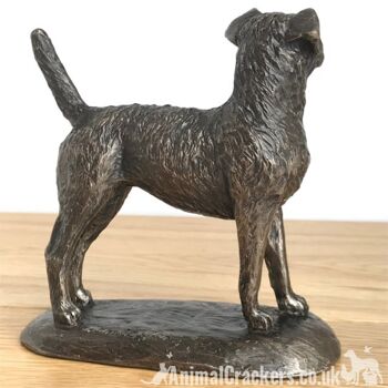 Figurine d'ornement Border Terrier en bronze de qualité par Harriet Glen, cadeau d'amant de chien 5