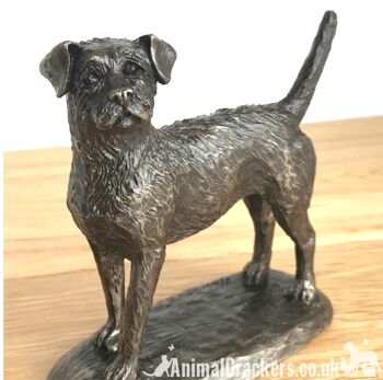 Figurine d'ornement Border Terrier en bronze de qualité par Harriet Glen, cadeau d'amant de chien 6
