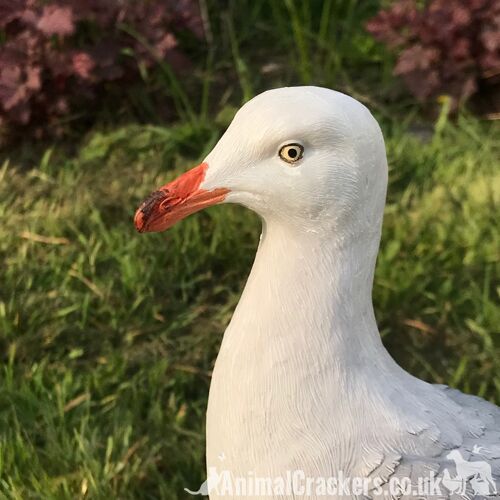 Large Seagull indoor outdoor garden ornament nautical decoration bird lover gift