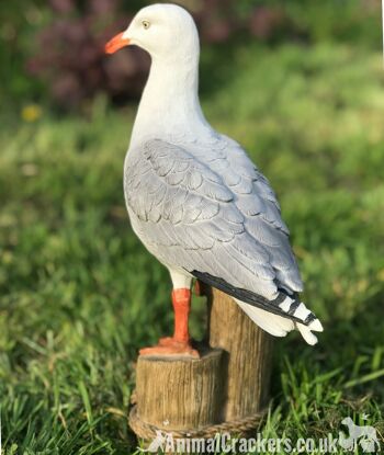 Grand ornement de jardin intérieur extérieur Seagull décoration nautique cadeau d'amant d'oiseau 2