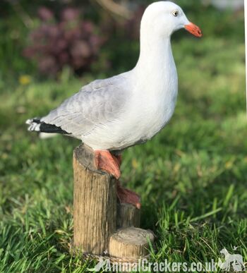 Grand ornement de jardin intérieur extérieur Seagull décoration nautique cadeau d'amant d'oiseau 4