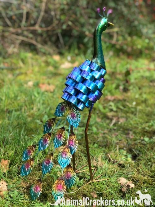 Maxine Peacock garden ornament sculpture, bright shiny colourful painted metal glossy with finish