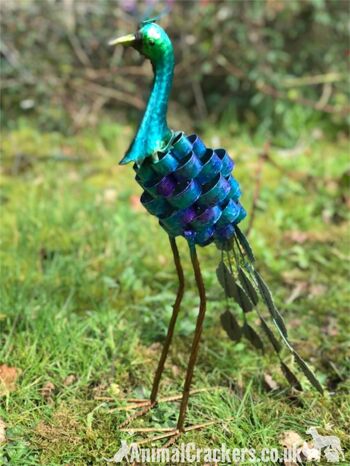 Sculpture d'ornement de jardin Maxine Peacock, métal peint coloré brillant brillant avec finition 4