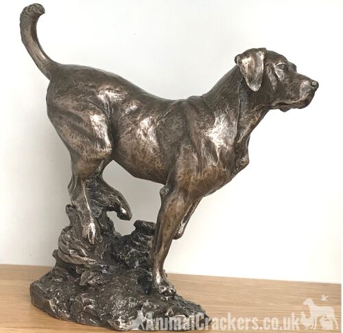 Large heavy weight Bronze Labrador sculpture ornament figurine statue designed by David Geenty - Exclusive to Animal Crackers!