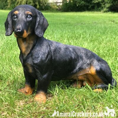 Daisy the Dachshund - adorno de Dachshund sentado de peso pesado grande (34 cm x 27 cm), regalo para amantes de los perros salchicha o memorial