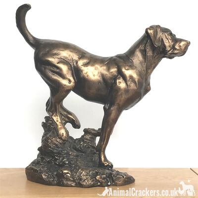 Grande scultura Labrador effetto Bronzo pesante 22 cm, ornamento di qualità disegnato da David Geenty