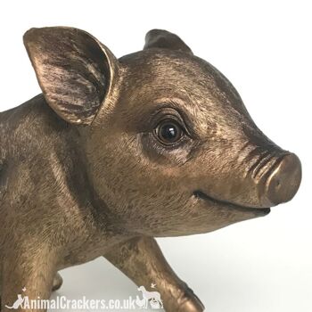 Grand ornement ou décoration de tirelire effet bronze de qualité (24 cm), excellent cadeau pour les amoureux des cochons 2