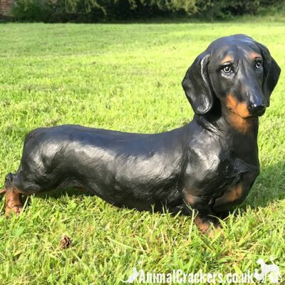 Grande figurine réaliste d'ornement d'intérieur ou d'extérieur de chien de saucisse de teckel de 38 cm