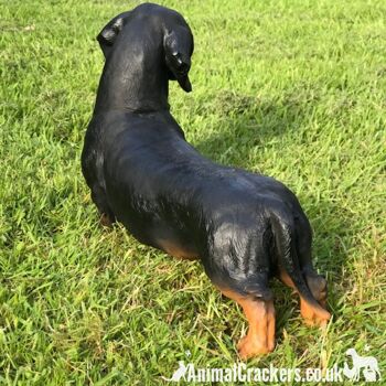 Grande figurine réaliste d'ornement d'intérieur ou d'extérieur de chien de saucisse de teckel de 38 cm 3