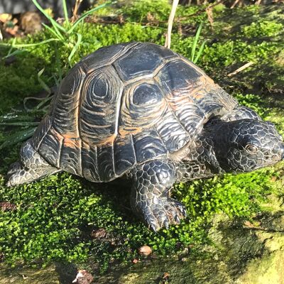 Tortue réaliste de 18 cm, ornement de jardin résistant aux intempéries ou décoration d'intérieur