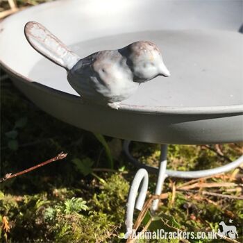 Bain d'oiseau/mangeoire autoportant en métal gris avec oiseau décoratif, cadeau d'amant d'oiseau de jardin/faune 4