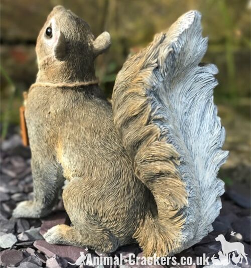 Cheeky Squirrel with removable 'Bird Feeder's Empty' sign garden ornament, great Squirrel lover gift boxed