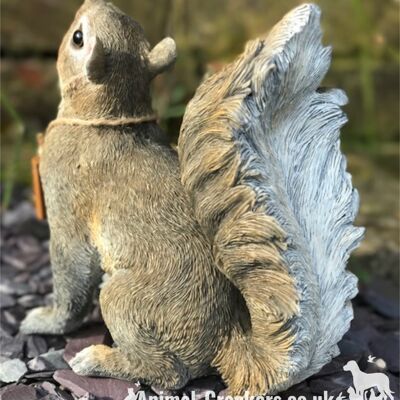 Cheeky Squirrel with removable 'Bird Feeder's Empty' sign garden ornament, great Squirrel lover gift boxed