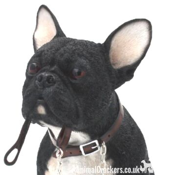 Gamme Leonardo Walkies 18cm figurine d'ornement bouledogue français noir, amateur de Frenchie, coffret cadeau 2