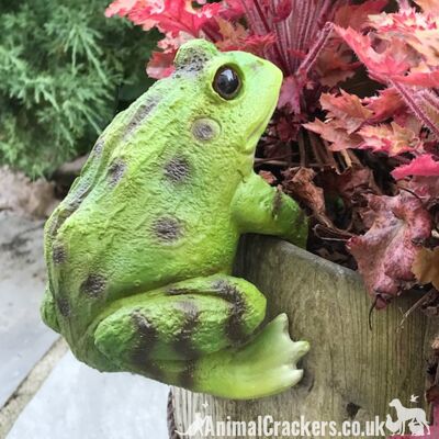Frog POT PAL HANGER novedad resina jardín ornamento decoración Sapo amante regalo