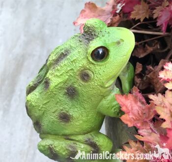 Grenouille POT PAL cintre nouveauté résine jardin ornement décoration crapaud amant cadeau 2