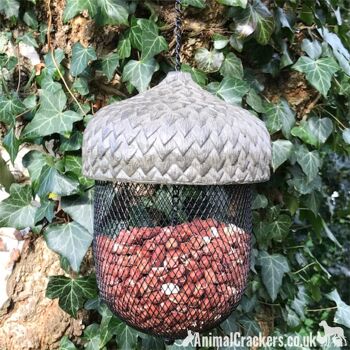 Nouveauté ACORN oiseau sauvage NUT FEEDER métal et résine lourde cadeau d'amant d'oiseau de jardin 2