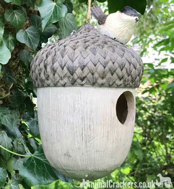 Nouveauté ACORN BIRD HOUSE NID BOX décoré d'oiseau, cadeau d'amant d'oiseau de jardin 3