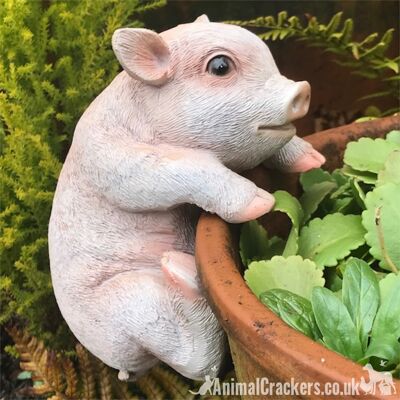 CUTE PIGLET POT HANGER novelty resin garden ornament, great Pig lover gift