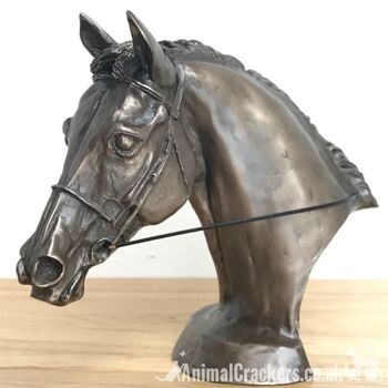 Sculpture de buste de tête de cheval de course Eventer en bronze coulé à froid, par Harriet Glen 1