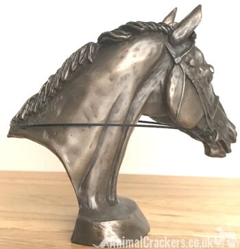 Sculpture de buste de tête de cheval de course Eventer en bronze coulé à froid, par Harriet Glen 2