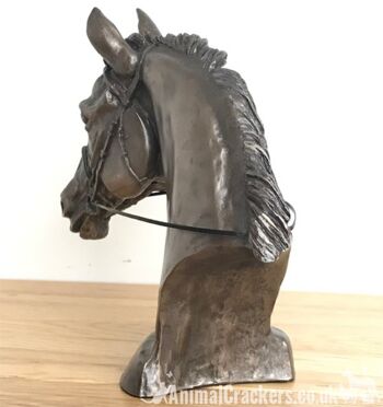 Sculpture de buste de tête de cheval de course Eventer en bronze coulé à froid, par Harriet Glen 3