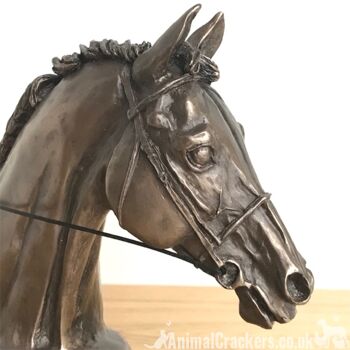 Sculpture de buste de tête de cheval de course Eventer en bronze coulé à froid, par Harriet Glen 4