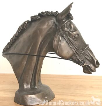 Sculpture de buste de tête de cheval de course Eventer en bronze coulé à froid, par Harriet Glen 5