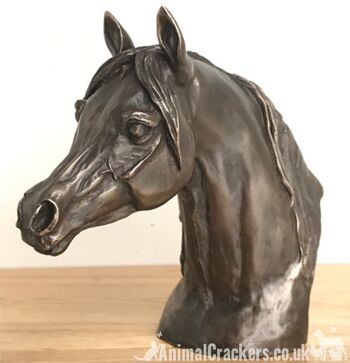 Exclusif à Animal Crackers - Harriet Glen Arab Stallion Buste de tête de cheval en bronze coulé à froid, fabuleuse sculpture/ornement/figurine pour amoureux des chevaux 1