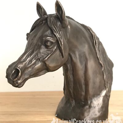 Exclusivo de Animal Crackers: busto de cabeza de caballo Harriet Glen Arab Stallion en bronce fundido en frío, fabulosa escultura/adorno/figurita para amantes de los caballos