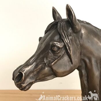 Exclusif à Animal Crackers - Harriet Glen Arab Stallion Buste de tête de cheval en bronze coulé à froid, fabuleuse sculpture/ornement/figurine pour amoureux des chevaux 2