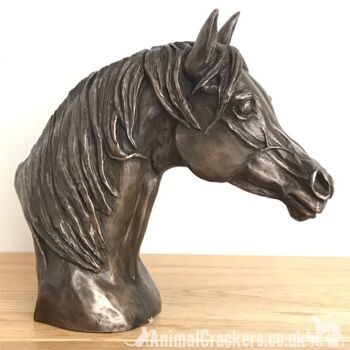 Exclusif à Animal Crackers - Harriet Glen Arab Stallion Buste de tête de cheval en bronze coulé à froid, fabuleuse sculpture/ornement/figurine pour amoureux des chevaux 3