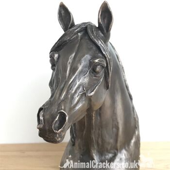 Exclusif à Animal Crackers - Harriet Glen Arab Stallion Buste de tête de cheval en bronze coulé à froid, fabuleuse sculpture/ornement/figurine pour amoureux des chevaux 5