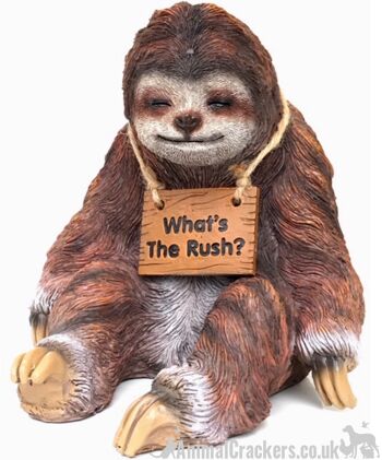 Figurine d'ornement de paresseux somnolent de Stacy Sloth avec 'What's The Rush ? pancarte 5