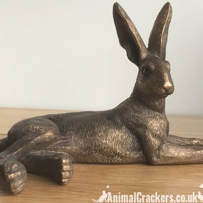 Leonardo Reflections Bronzed Range Leging Hare Ornament Figur, in Geschenkbox