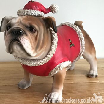 Grande décoration d'ornement de tenue festive de Noël de chien bouledogue britannique anglais 1